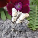 Dame ring med sommerfugl D2527 3