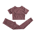 Dame Sport Outfit Leggings og T-shirt med Korte Ærmer Ensfarvet Fitness Sæt af Nylon, Polyester og Spandex 6