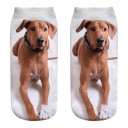 Dameankelsokker med hund A667 11