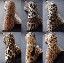 Dameleggings med leopardprint J521 1