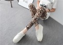Dameleggings med leopardprint J521 6