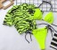 Damen-Bikini und Crop-Top P385 6