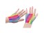 Damen-Mesh-Handschuhe Regenbogen 3