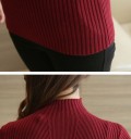 Damen-Rollkragenpullover G207 1