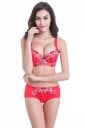 Damen Sexy Set - BH und Slips 2