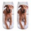 Damen-Socken mit Hund A667 11