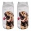 Damen-Socken mit Hund A667 7