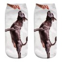 Damen-Socken mit Hund A667 8