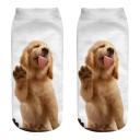 Damen-Socken mit Hund A667 10