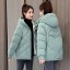 Damen-Winterjacke P2296 1