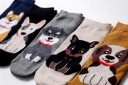 Damensocken mit Hund 7