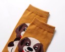 Damensocken mit Hund 8