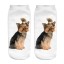 Damensocken mit Hundeaufdruck 2