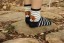 Damensocken mit Hunden 7