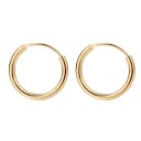 Dames creolen H790 3