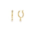 Dames creolen met hanger R79 2