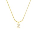 Dames ketting met letter D258 30