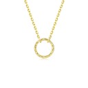 Dames ketting met ring 5