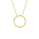 Dames ketting met ring 1