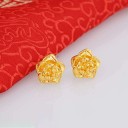 Dames oorbellen G1456 21