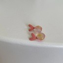 Dames oorbellen G155 4