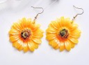 Dames oorbellen G172 10