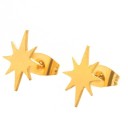 Dames oorbellen G240 7
