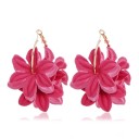 Dames oorbellen G255 16