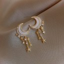 Dames oorbellen G265 18