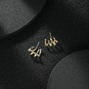 Dames oorbellen G340 3