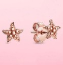 Dames oorbellen G368 17
