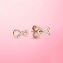 Dames oorbellen G368 20