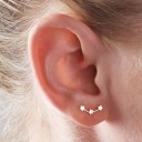 Dames oorbellen G372 45