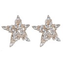 Dames oorbellen G489 10