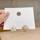 Dames oorbellen G551 12