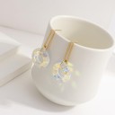 Dames oorbellen G590 3