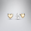Dames oorbellen G610 19