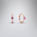 Dames oorbellen G610 28