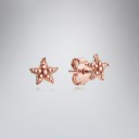 Dames oorbellen G610 42
