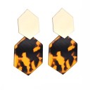 Dames oorbellen G640 19