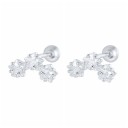 Dames oorbellen H702 12