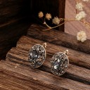 Dames oorbellen met kristallen G1404 2
