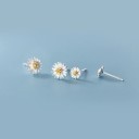 Dames oorbellen met madeliefjeszaadjes 1
