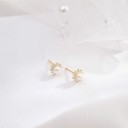Dames oorbellen met zaden en bloemen 1