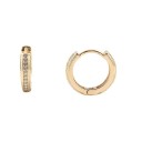 Dames oorbellen met zirkonen G229 26