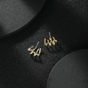 Dames oorbellen met zirkonen G425 4