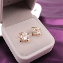 Dames oorbellen met zirkonen H844 2