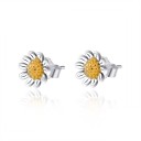 Dames oorbellen R105 28