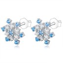 Dames oorbellen R105 31