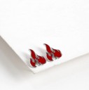 Dames oorbellen R107 4